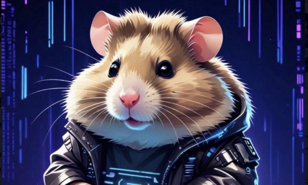 Вводимо шифр Морзе в Hamster Kombat за 14-15 вересня який код сьогодні