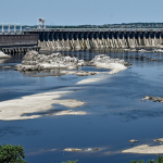 Вербовий ліс на місці колишнього Каховського водосховища