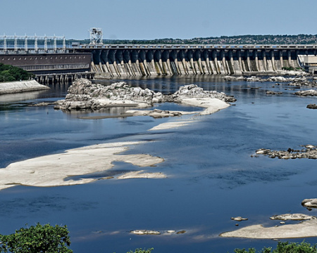 Вербовий ліс на місці колишнього Каховського водосховища