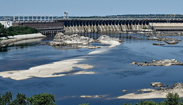 Вербовий ліс на місці колишнього Каховського водосховища