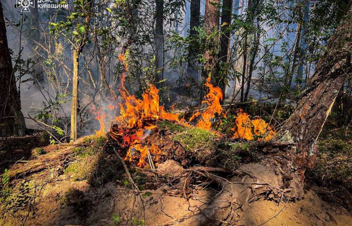 Пожежа у Чорнобильській зоні відчуження триває вже п’ятий день, новий осередок вогню виявлено на заході зони.