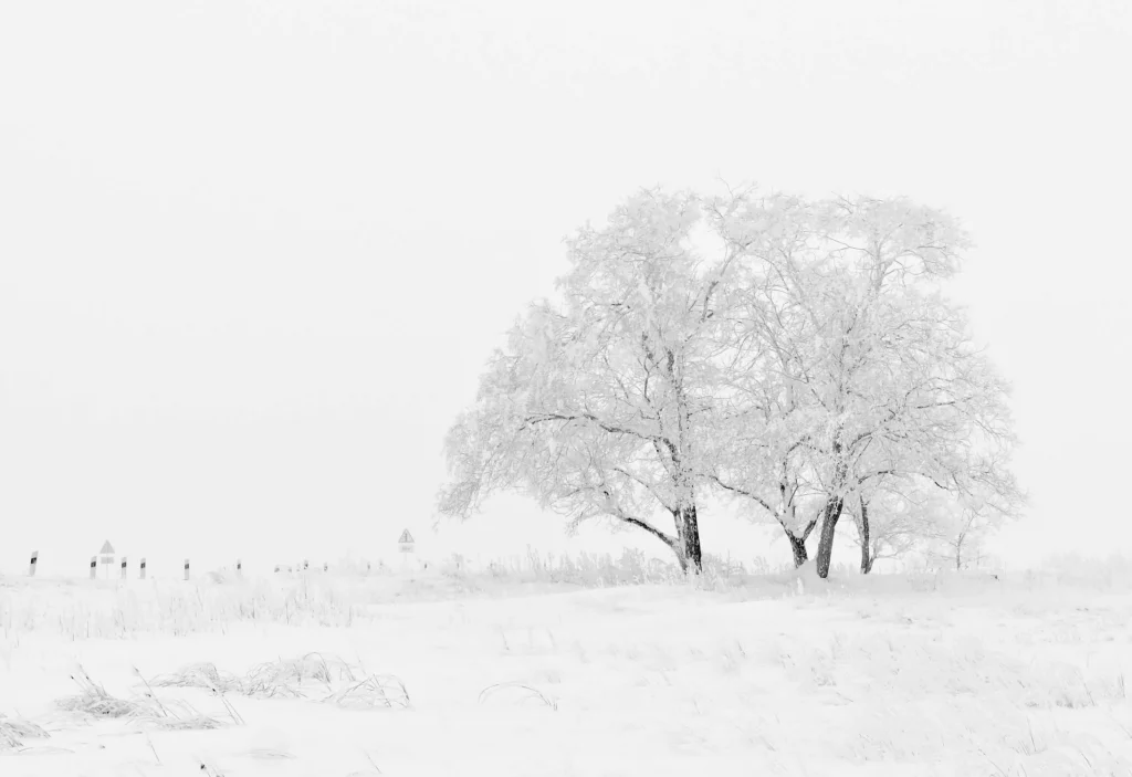 Що святкують 8 лютого: історія, народні вірування та визначні дати
