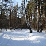 Що відзначають 26 лютого в Україні та світі: традиції та події цього дня