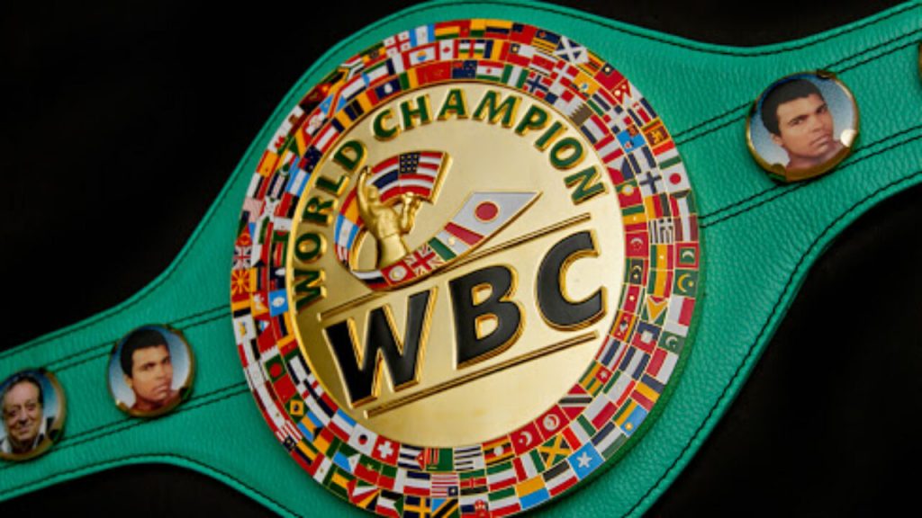 Спаринг-партнер Усика та Кличка битиметься за чемпіонський титул Пояс WBC