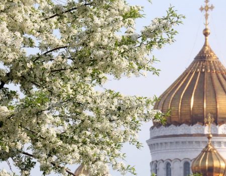 28 квітня 2025 — Максимів день