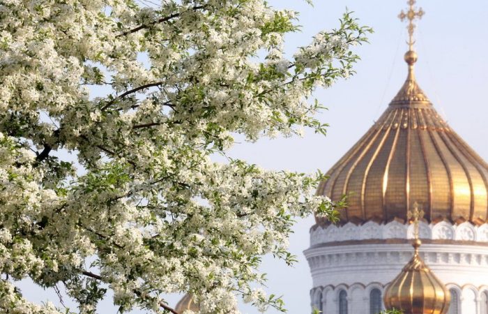 28 квітня 2025 — Максимів день