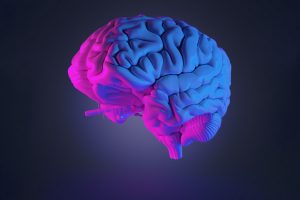 Користь високої інтенсивності: як тренування змінюють роботу мозку