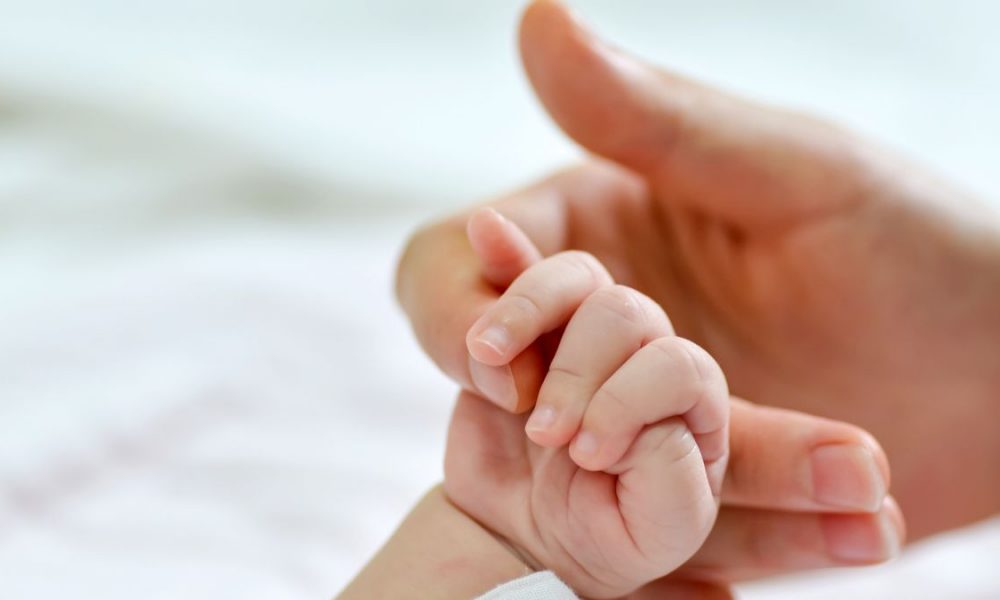 Безкоштовні набори для новонароджених: Як родини з Херсонщини можуть отримати допомогу від БФ BGV