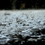 Вітряна і дощова погода у Херсоні: що очікувати 17 травня