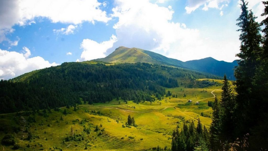 Генетичне різноманіття рослин зникає