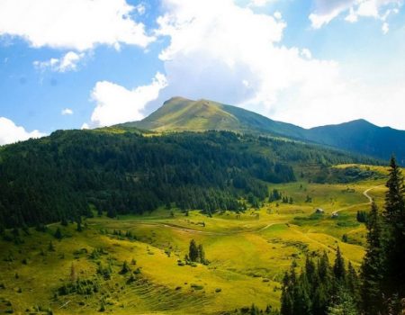 Генетичне різноманіття рослин зникає