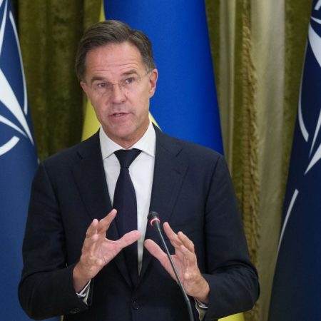 Рютте: Україна на шляху до НАТО, підтримка союзників збільшується