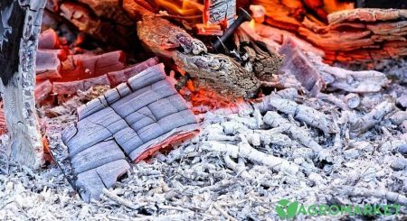 Як правильно розводити золу для підживлення городу