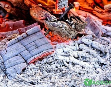 Як правильно розводити золу для підживлення городу