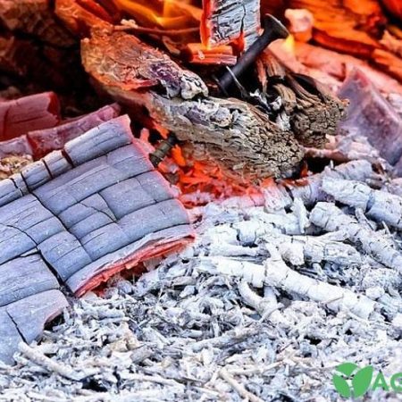 Як правильно розводити золу для підживлення городу