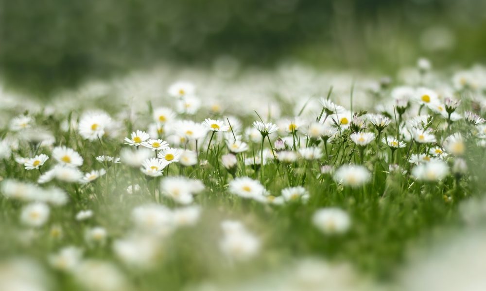 2 липня — яке сьогодні свято: кого вшановують, що заборонено робити