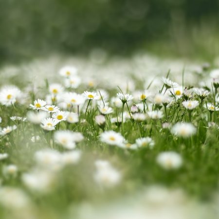 2 липня — яке сьогодні свято: кого вшановують, що заборонено робити