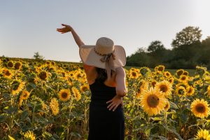6 липня — яке сьогодні свято: традиції купальської дати та головні заборони 6 липня — яке сьогодні свято: традиції купальської дати та головні заборони