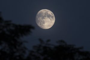 Найнижча повня року: коли і де в Україні можна буде побачити Оленячий Місяць у липні 2025 Найнижча повня року: коли і де в Україні можна буде побачити Оленячий Місяць у липні 2025