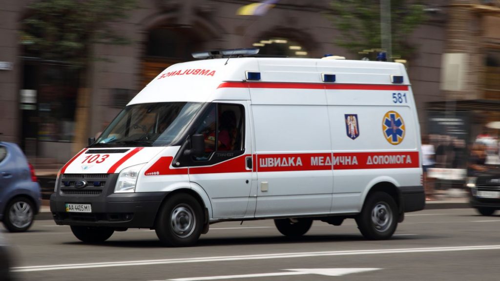 Напад бійцівського собаки на жінку у Києві: серйозні травми та кримінальне провадження