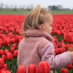 29 липня — яке свято сьогодні: заборони та важливі прикмети дня