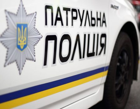 Жінка викинула собаку з вікна в Київській області: поліція розпочала розслідування