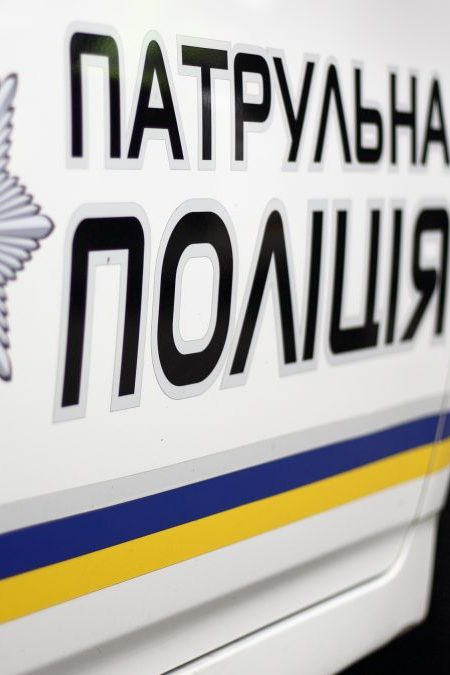 Жінка викинула собаку з вікна в Київській області: поліція розпочала розслідування