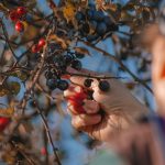 27 августа — День святого Пимена и Международный день бокса: приметы и традиции