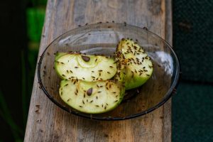 Как избавиться от мошек на кухне: простые и эффективные способы