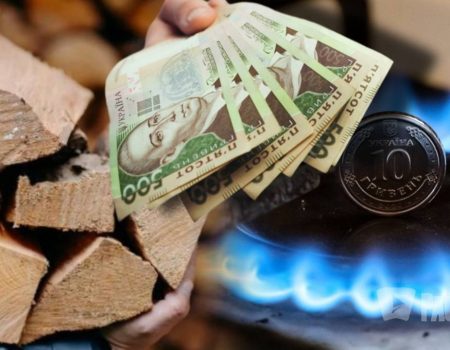 Газ, дрова или пеллеты: какое топливо выбрать для зимы