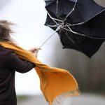 Что ждет пользователей Netflix в 2026 году: новые функции и интерактивные игры Сильный ветер "накроет" Украину: какие области под угрозой и что ждать в Киеве