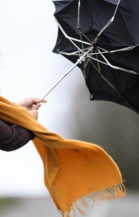 Сильный ветер "накроет" Украину: какие области под угрозой и что ждать в Киеве