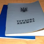 Нужно ли работающим пенсионерам оцифровывать трудовую книжку — разъяснение