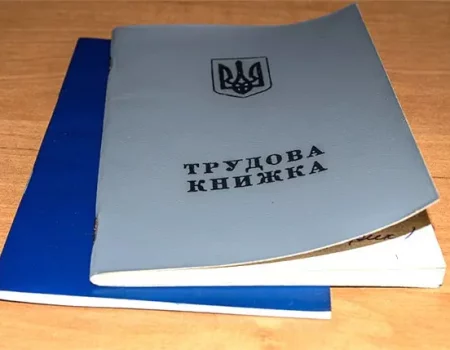 Нужно ли работающим пенсионерам оцифровывать трудовую книжку — разъяснение