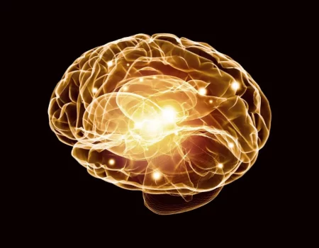 Учёные объяснили, почему возникает дежавю: разгадка загадочного феномена