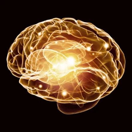 Учёные объяснили, почему возникает дежавю: разгадка загадочного феномена