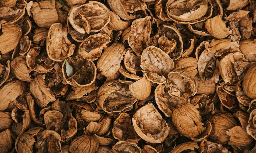 Что делать со скорлупой от грецких орехов — практичные советы