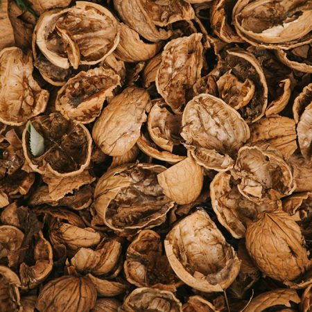 Что делать со скорлупой от грецких орехов — практичные советы