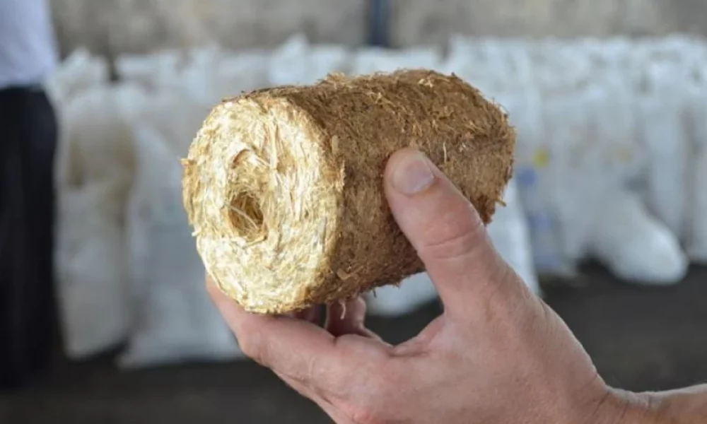 Как сэкономить на отоплении: дешевые варианты биотоплива для котлов