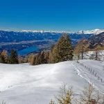 Синоптики прогнозируют необычную зиму в этом году: что ждать в декабре, январе и феврале