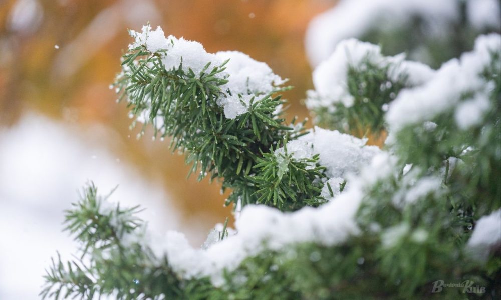 Морозы до -14°C и метели: прогноз погоды в Украине до Нового года