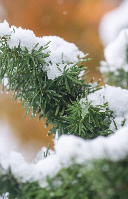 Какой будет погода в Украине на выходных: прогноз на 28 февраля – 1 марта