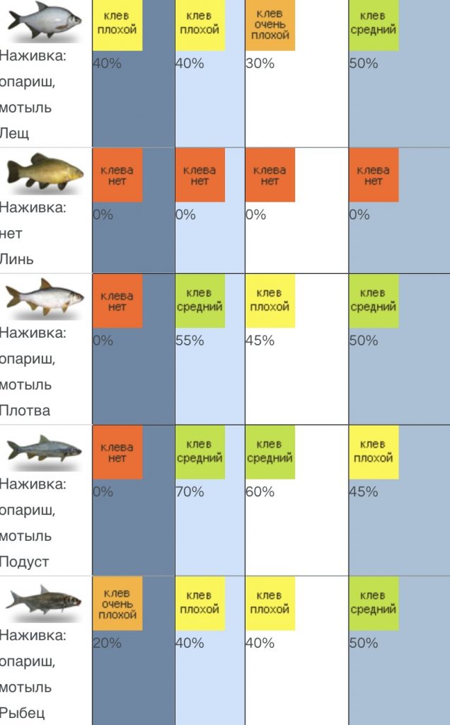 Рыбалка в Одессе: прогноз погоды и клева на завтра, 20 января