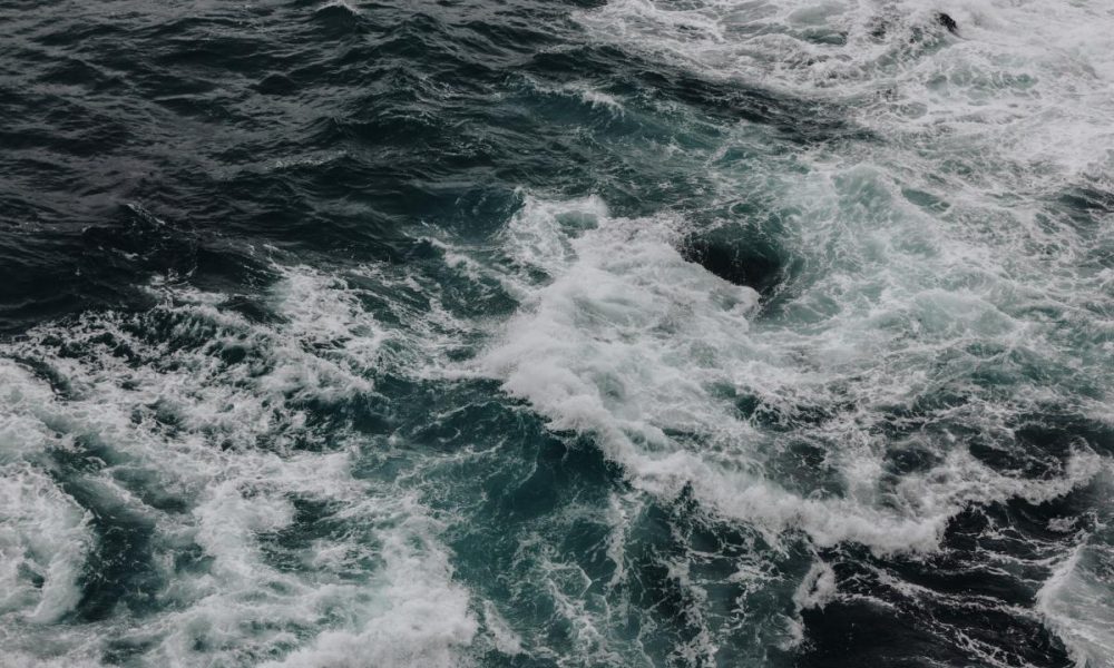 У какого моря нет берегов: где оно находится и чем уникально