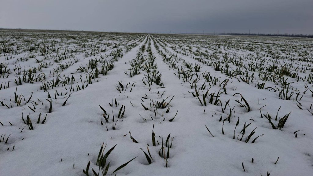 Компенсации аграриям Херсонщины за утраченный урожай: кто может получить и как подать заявку Компенсации аграриям Херсонщины за утраченный урожай: кто может получить и как подать заявку