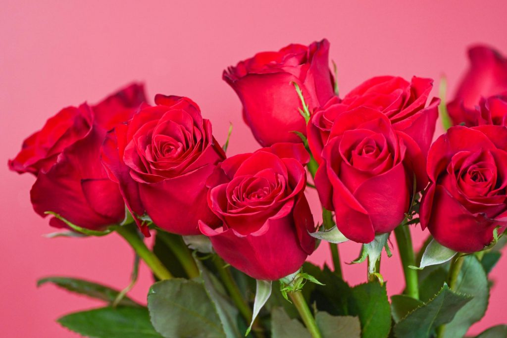 Эти цветы лучше не дарить на 14 февраля — скрытые значения букетов