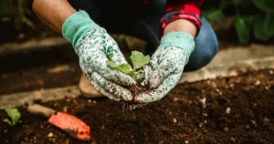 Лунный посевной календарь на апрель 2026: когда и что сажать?