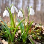 Погода в Украине на завтра 18 марта: температура воздуха по регионам и где ждать дожди