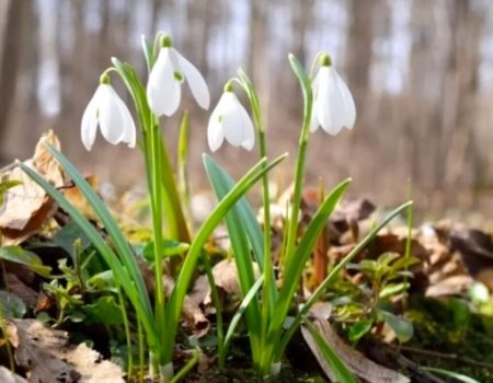 Погода в Украине на завтра 18 марта: температура воздуха по регионам и где ждать дожди
