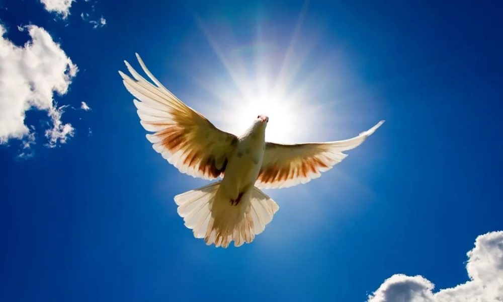 Когда отмечают Благовещение в 2026 году: главные запреты, приметы и что обязательно нужно сделать до праздника